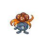 bronzor